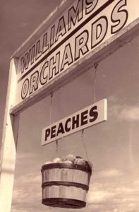 This sign always worked like a charm, but sometimes the peaches would go "missing." Maybe that's why people kept coming out to get their fruit!